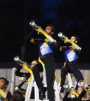 Image post by @thebluedevils on Instagram