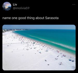 Image post by @srqparadise on TikTok