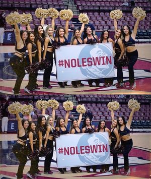 Image post by @fsugoldengirls on Instagram
