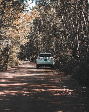 Image post by @parkmazda on Instagram