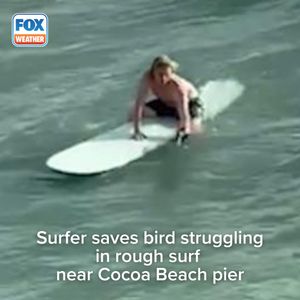 Image post by @foxweather on Instagram