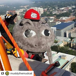 Image post by @carolinamudcats on Instagram