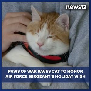 Image post by @news12li on Instagram