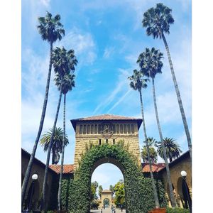 Image post by @maggie.steffens on Instagram