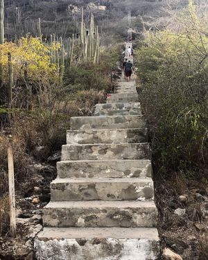 Image post by @kinikinitours on Instagram