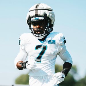Image post by @panthers on TikTok