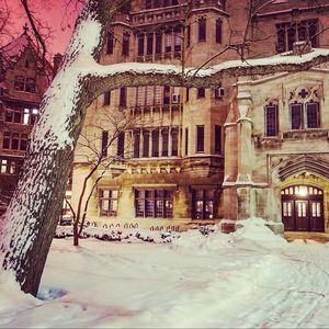 Image post by @uchicago on Instagram