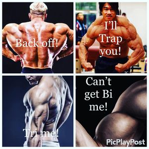 Image post by @my_mac_gym on Instagram