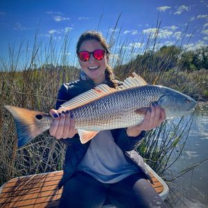 Image post by @toadfishoutfitters on Instagram