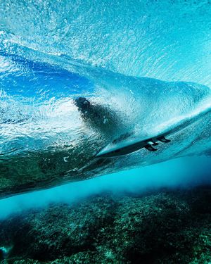Image post by @wsloneocean on Instagram