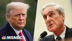 Video post by @msnbc on YouTube