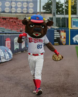 Image post by @buffalobisons on Instagram