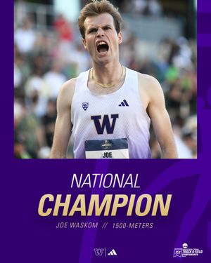 Image post by @UWTrack on Twitter/X