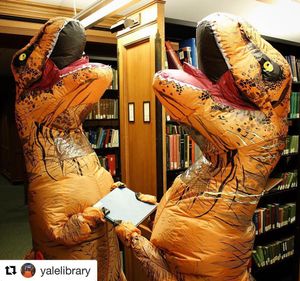 Image post by @yalevolleyball on Instagram