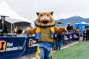 Image post by @champ_bobcat on Instagram