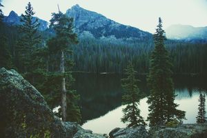Image post by @jsawcreative on Instagram