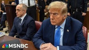 Video post by @msnbc on YouTube