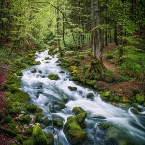 Image post by @fotodioxpro on Instagram