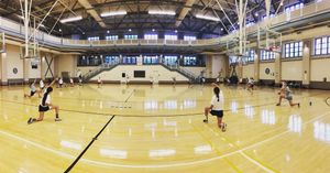 Image post by @yalesoftball on Instagram