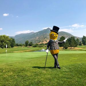 Image post by @mrpeanutofficial on Instagram
