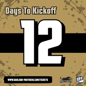 Image post by @panthersifl on Instagram