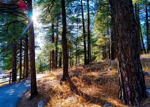 Image post by @nauflagstaff on Instagram