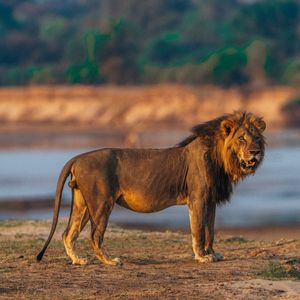 Image post by @chiawasafaris on Instagram