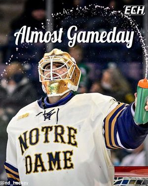 Image post by @everythingcollegehockey on Instagram