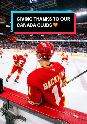 Video post by @nhl on TikTok