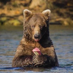 Image post by @nationalparkservice on Instagram