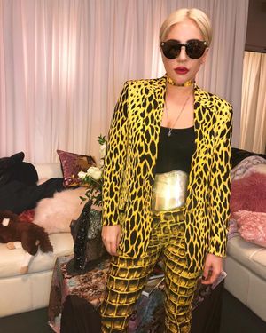 Image post by @ladygaga on Instagram
