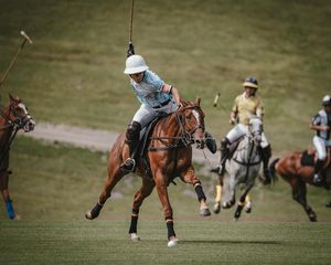 Image post by @greenwichpoloclub on Instagram