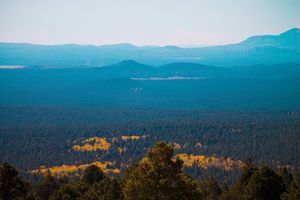 Image post by @nauflagstaff on Instagram