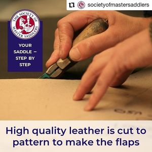 Image post by @performancesaddlefitssthsydney on Instagram