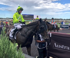 Image post by @australianturfclub on Instagram