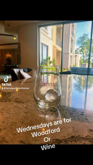 Video post by @terraapartmenthomes on Facebook