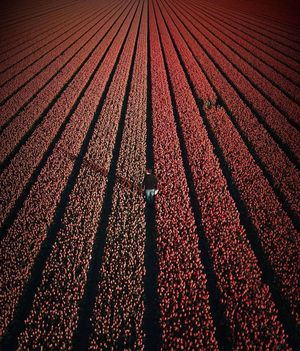 Image post by @dronepals on Instagram