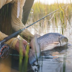 Image post by @toadfishoutfitters on Instagram