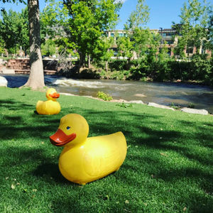 Image post by @playboulder on Instagram