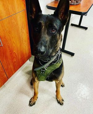 Image post by @vcsheriff on Instagram
