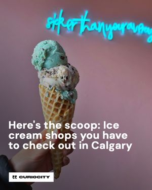 Image post by @curiocitycalgary on Instagram