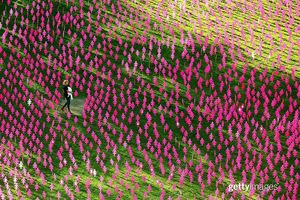 Image post by @gettyimages on Instagram