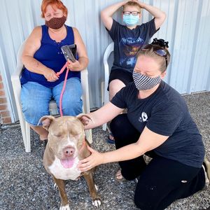 Image post by @spokhumanesoc on Instagram