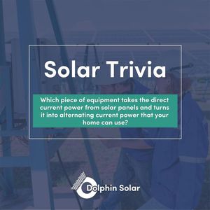 Image post by @DolphinSolarProject on Facebook