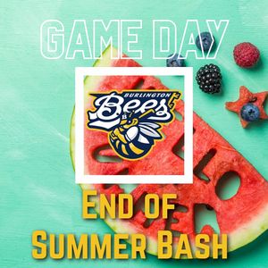 Image post by @burlington_bees on Instagram