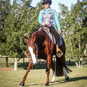 Image post by @equineidsolutions on Instagram