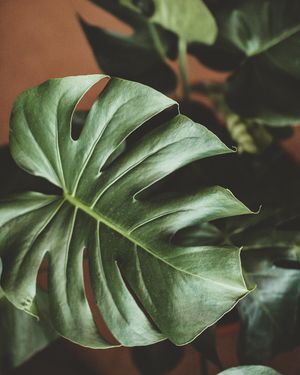 Image post by @ninamarie_creative on Instagram