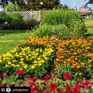 Image post by @uofnh on Instagram