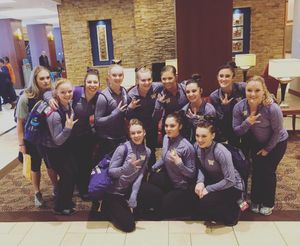 Image post by @uwgymnastics on Instagram