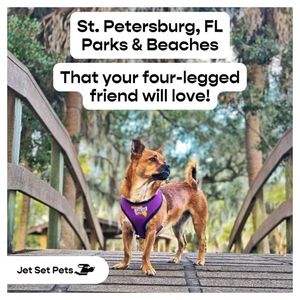 Image post by @jetsetpets on Instagram